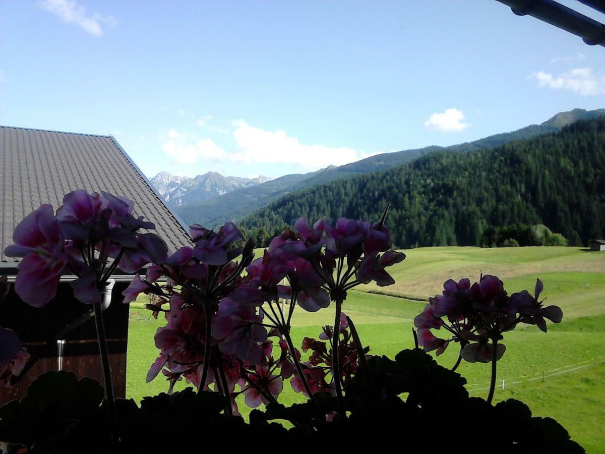 Pension Anderlehof Sankt Lorenzen im Lesachtal ภายนอก รูปภาพ
