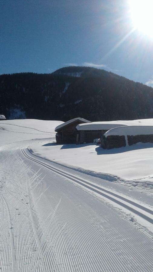 Pension Anderlehof Sankt Lorenzen im Lesachtal ภายนอก รูปภาพ